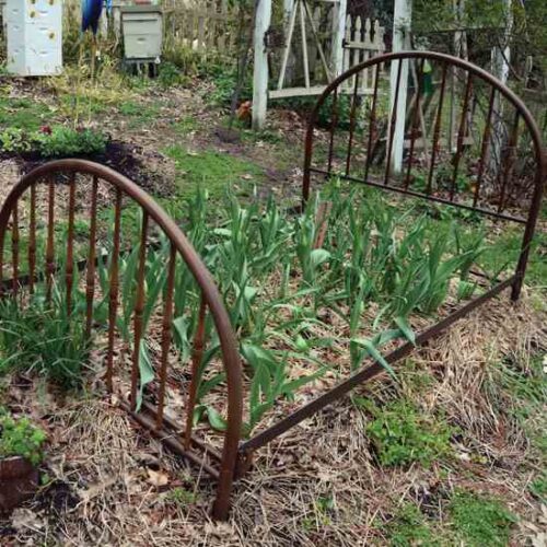The Best Way to Raise Your Flower Beds